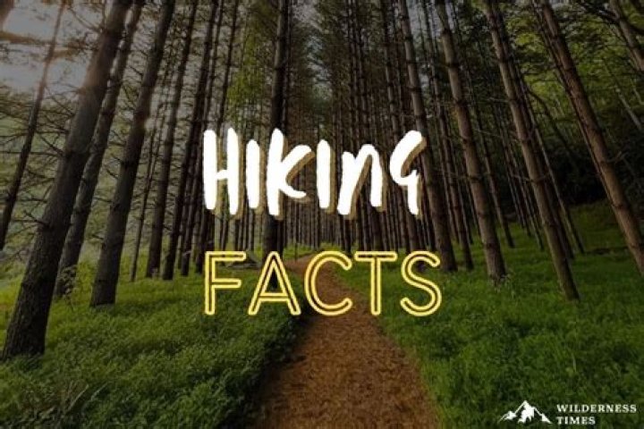 12 Mind-blowing Facts About Hiking And Nature Scavenger Hunt ·