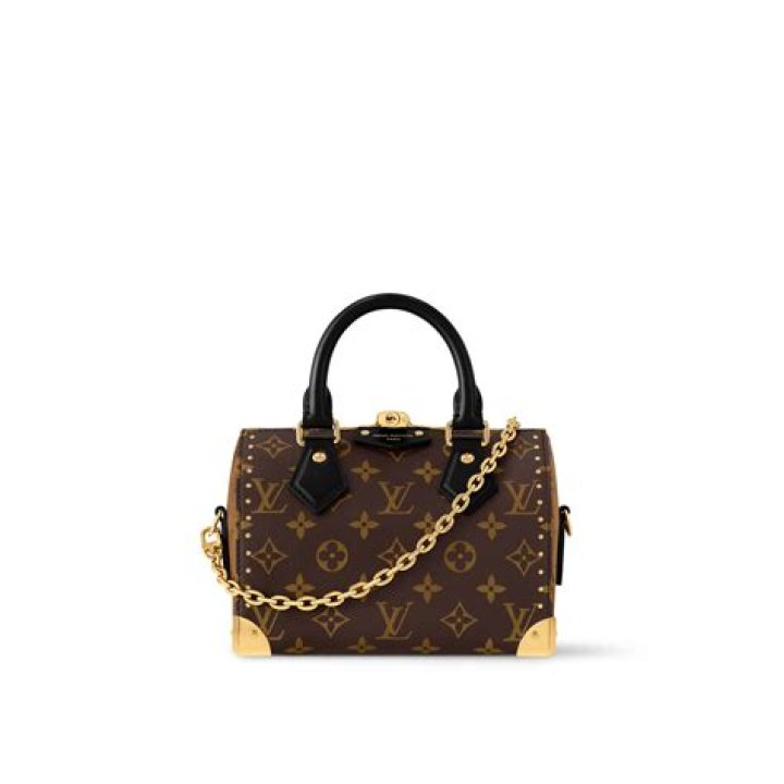 Vintage Treasure: Discover The Iconic 2003 Louis Vuitton Bag