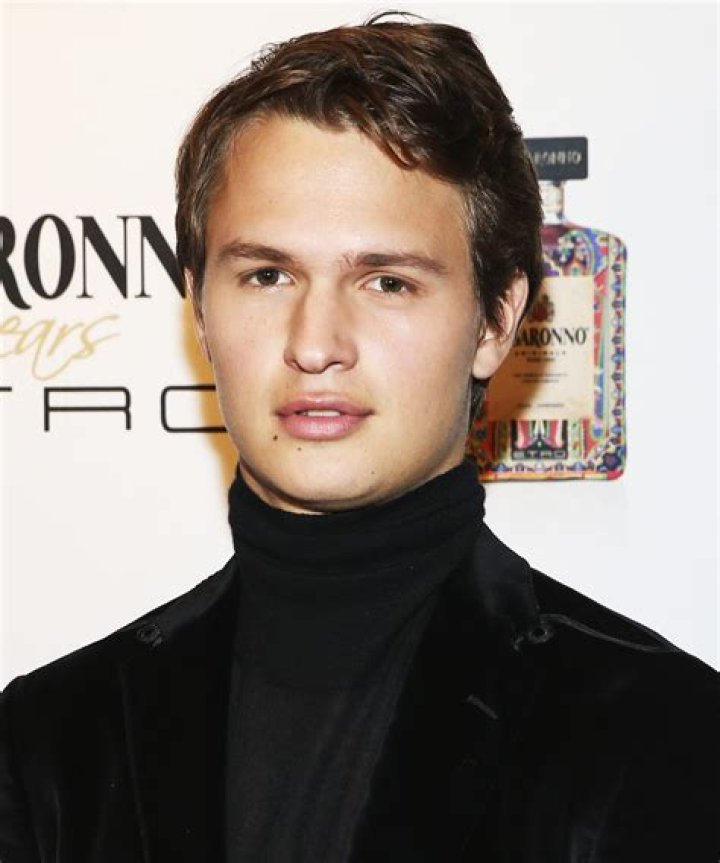 Unveiling The Truth: Ansel Elgort's Alleged Theft