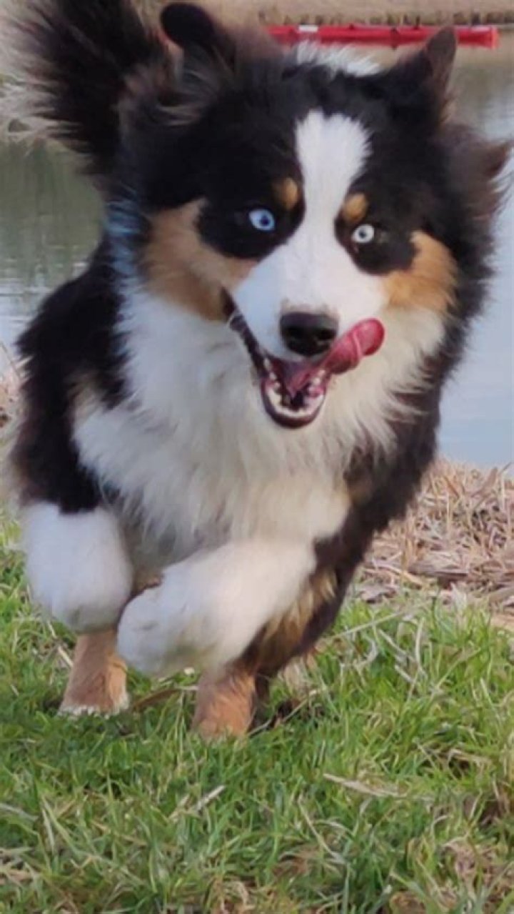 Uncover The Inspiring Journey And Impact Of Anthony Bascle In Basketball