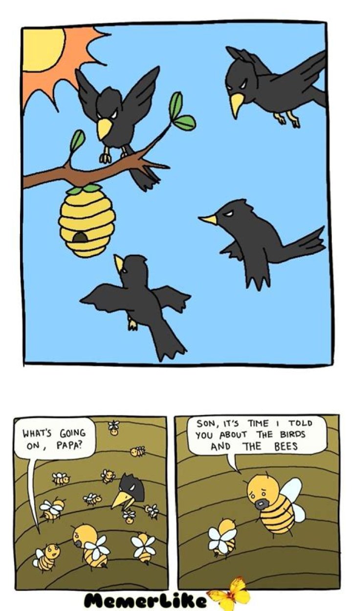 Unlock The Secrets Of The Birds And The Bees Meme: A Journey Of Discovery