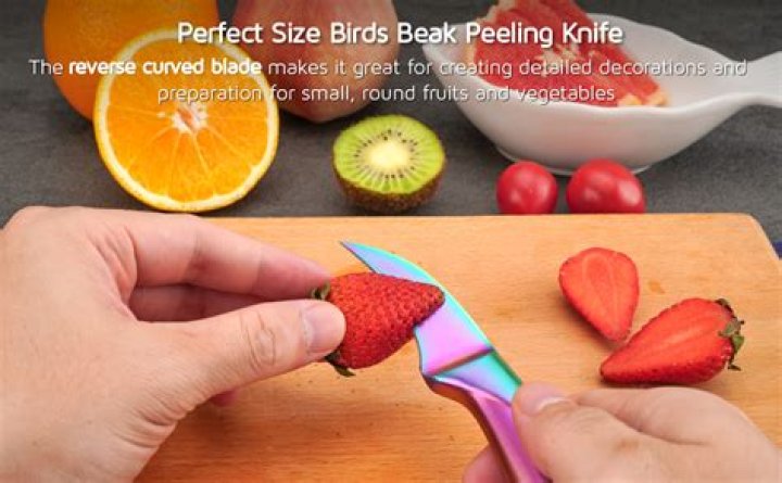 The Ultimate Guide To Bird's Beak Knives: Your Essential Tool For Wilderness Survival