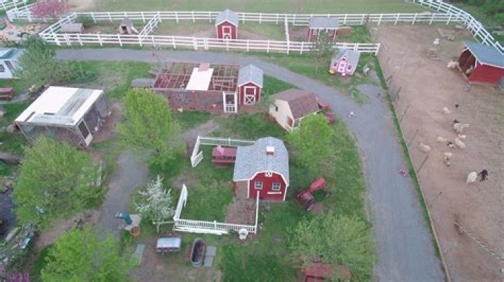 Uncover The Secrets Of Sustainable Agriculture At Brookhollow Barnyard