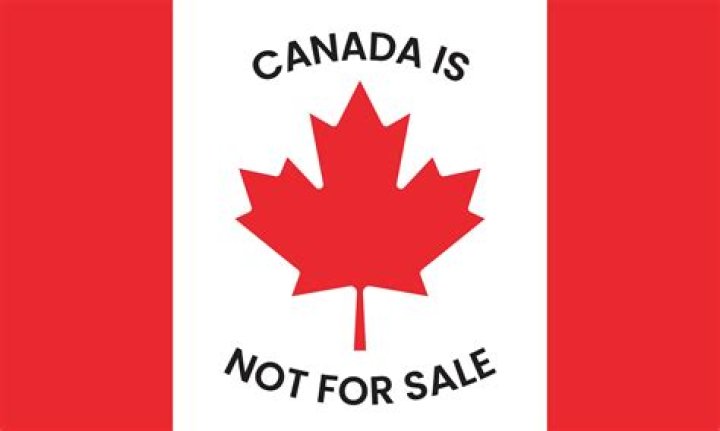 Top-Quality Canada Presa Puppies For Sale | Guaranteed Lineage