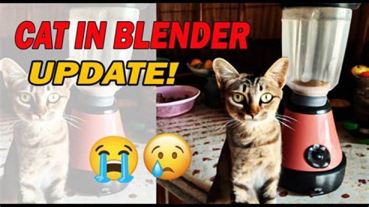 Unveiling The Horrors: Cat Blender Exposed