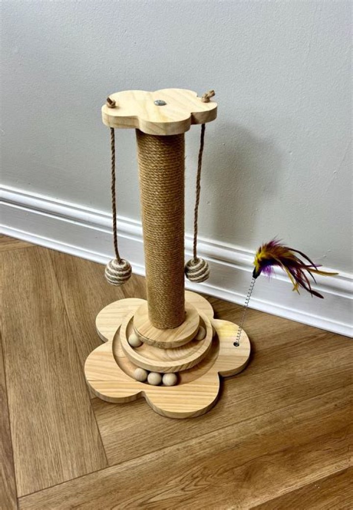 The Ultimate Cat Playtime Destination: Discover Our Towering Cat Toy Haven