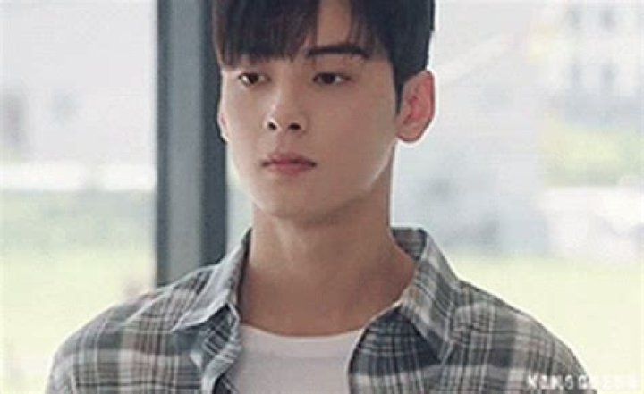 Cha Eun-woo