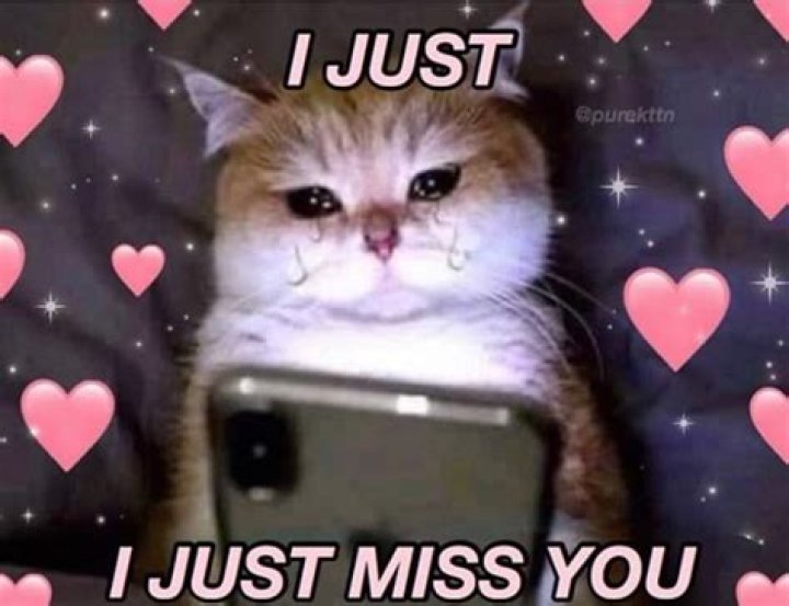 The Cutest Memes To Express How Much You Miss Someone