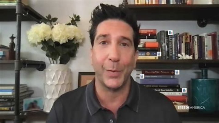 Unveiling David Schwimmer's Religion: Discoveries And Insights