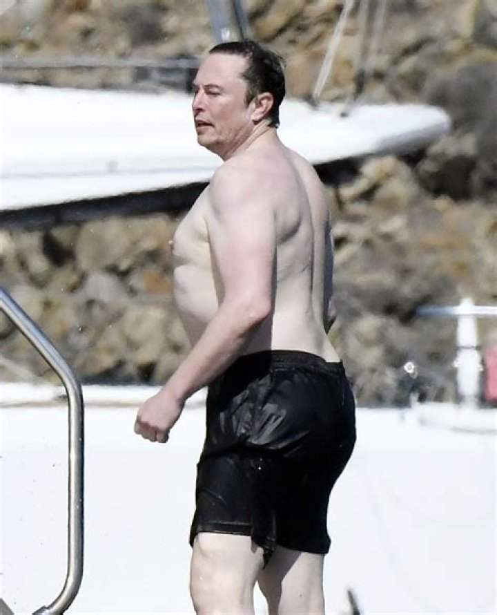 Unveiling The Buzz: The Fascination With Elon Shirtless