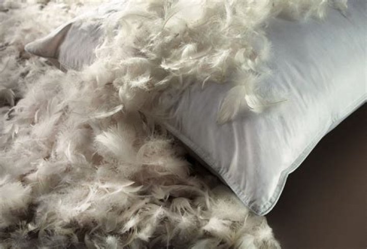 Discover The Ultimate Pillow Comfort: Feather Or Foam For A Perfect Night's Sleep