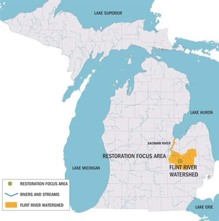 Flint River Drowning: A Heartbreaking Tragedy