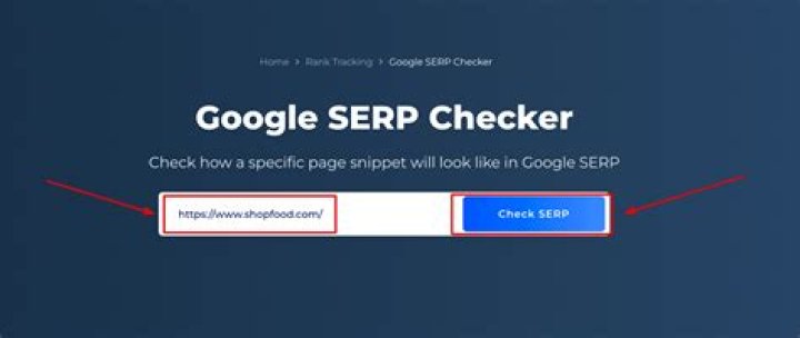 Instantly Check Google Site Rankings | Free Position Checker