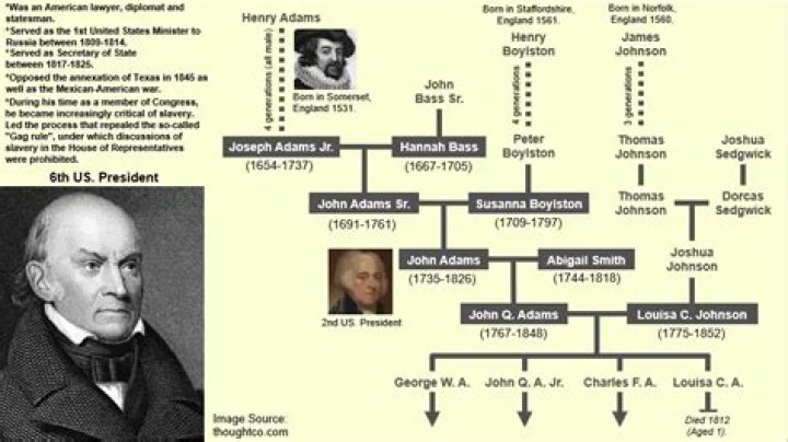 Harry Taylor & Tina Turner Relationship, Joint Family Tree & History ·