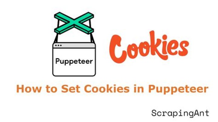 How to set Cookies enabled in puppeteer