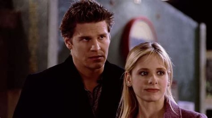 David Boreanaz's Son's Acting Journey Revealed