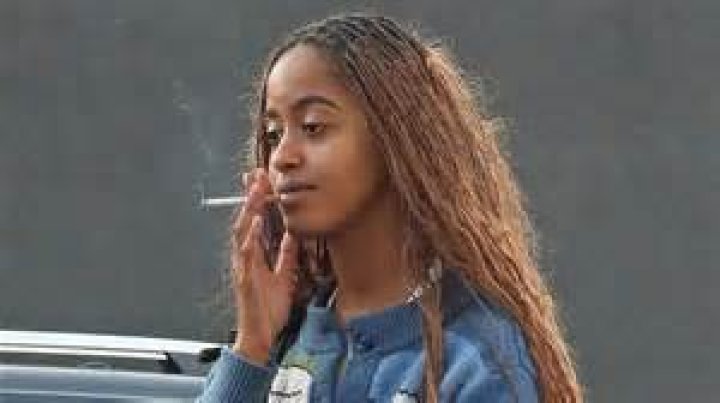 Insights And Revelations For The Lins29 Niche