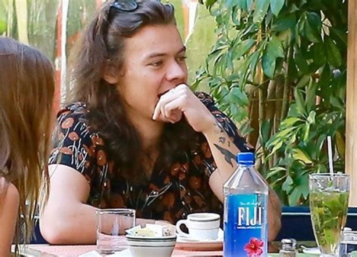 [PICS] Harry Styles Date With Meredith Winston At Habana Cafe Hollywood Life ·