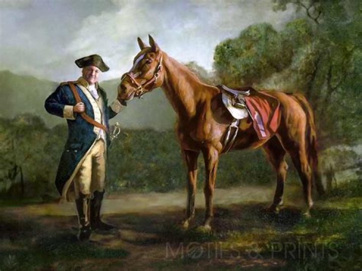 Unforgettable Pie O My Horse: A Culinary Delight