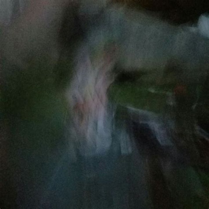 A Journey Of Discovery And Development