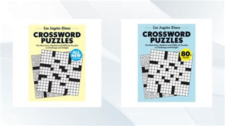 Ultimate Guide To Identifying The "Seller Of TV Spots" Crossword Clue
