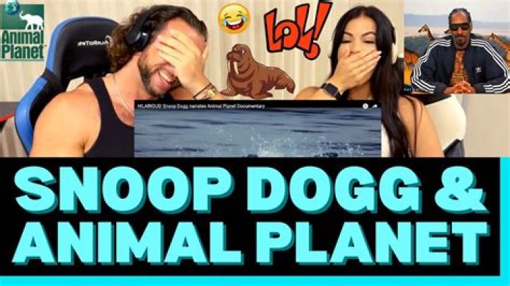 Unlocking The Wonders Of Animal Planet