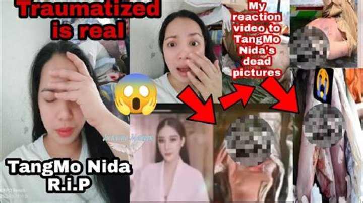 Unraveling The Truth Behind Tangmo Nida's Death