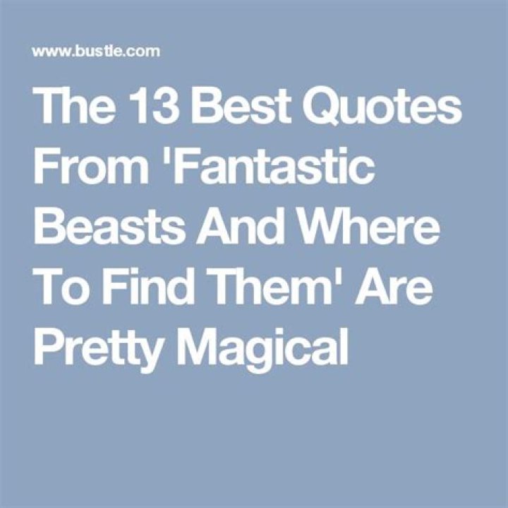 The 13 Best Quotes From 'Fantastic Beasts And Where To Find Them' Are Pretty Magical