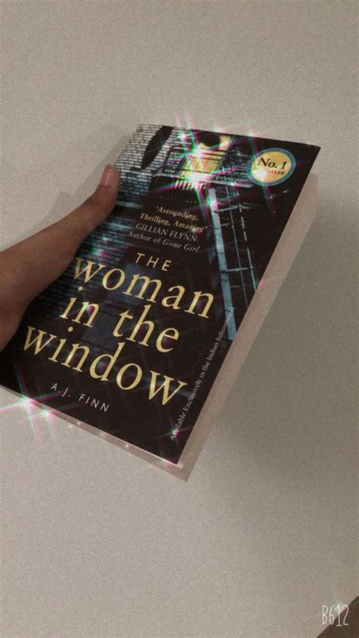 The Woman In The Window: A Gripping Psychological Thriller