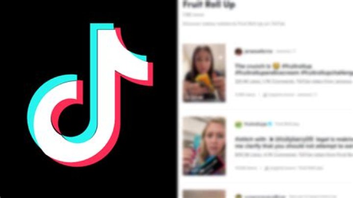 Unraveling The TikTok Fruit Roll-Up Trend