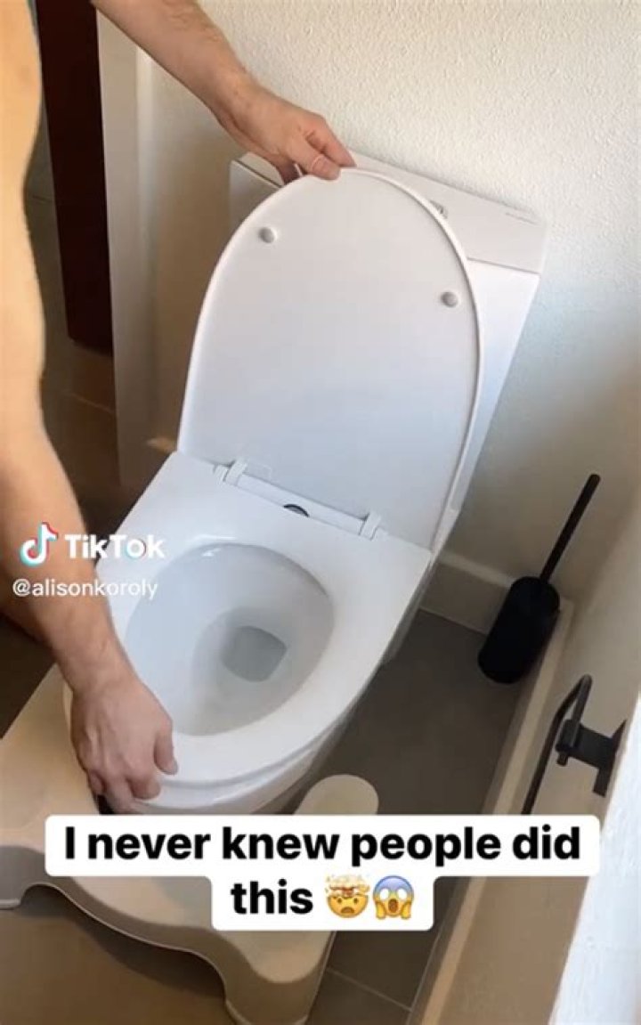 A Journey Into Viral Entertainment