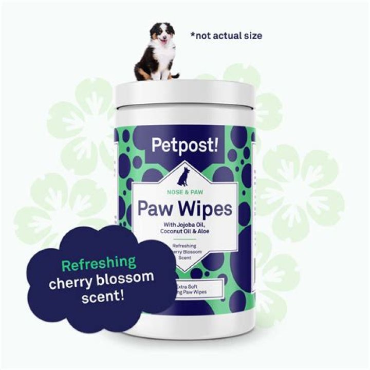 Essential Wipes For Spotless Dog Paws: The Ultimate Guide