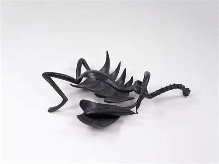 The Horrific Tragedy: Woman Found With Throat Slit